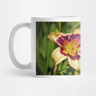 Peach And Wine Daylily Mug